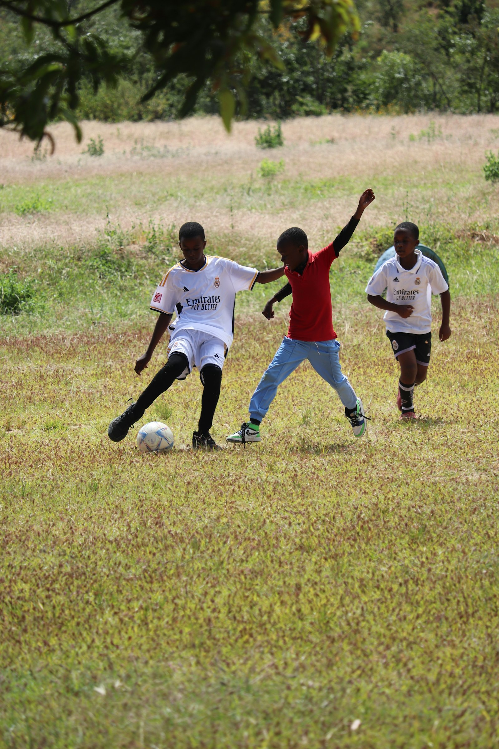 Sports & Talent Development